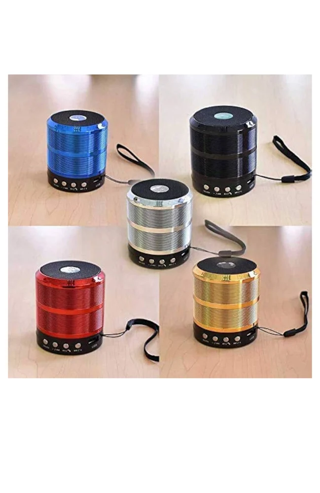WS-887 Mini Bluetooth Speaker with Box – Portable Wireless Speaker